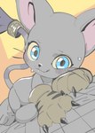 anthro blue_eyes butt claws clothing female fur gloves handwear simple_background solo tail tuft white_body white_fur oposa bandai_namco digimon digimon_(species) felid gatomon mammal absurd_res hi_res