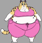 4_toes 6_fingers anthro belly big_belly blue_eyes bottomwear bra clothed clothing dipstick_tail feet female fingers fur grey_background markings multicolored_body multicolored_fur obese obese_anthro obese_female overweight overweight_anthro overweight_female pink_nose shorts simple_background solo tail tail_markings tan_body tan_fur toes underwear captainelderly cheetah felid feline mammal hi_res