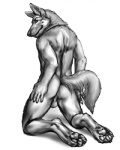 anthro anus backsack balls butt feet genitals hindpaw looking_at_viewer looking_back male muscular muscular_anthro muscular_male nude paws presenting raised_tail rear_view simple_background smile solo tail white_background anakuro kanic canid canine canis domestic_dog german_shepherd herding_dog mammal pastoral_dog 2012 4:5 digital_media_(artwork) greyscale monochrome sketch