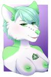 anthro barbell_piercing breasts celtic_symbol female fur green_body green_eyes green_fur green_hair green_nipples hair nipple_barbell nipple_piercing nipples piercing solo triquetra rayray72 irish_moon canid canine canis mammal wolf 2:3 bust_portrait portrait