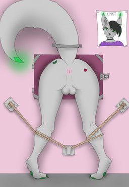 anthro anus balls black_hair black_nose butt choker claws clothing curled_tail door ear_markings facial_markings fluffy fluffy_tail foot_tuft genitals glowing glowing_markings green_claws green_eyes green_markings green_pawpads hair head_markings heart_tattoo inner_ear_fluff jewelry lock male markings necklace pawpads photo pink_anus pupils purple_clothing purple_topwear rope slit_pupils solo tail tail_markings tail_restraint tattoo through_wall topwear triangle_(shape) tuft wall_(structure) k1nky kiny canid canine canis mammal wolf hi_res