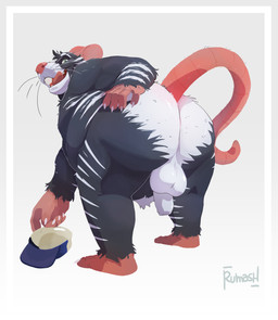 anthro anus backsack balls barely_visible_anus belly bent_over big_butt black_body buckteeth butt clothing flaccid foreskin fur genitals hand_on_butt hat headgear headwear huge_butt licking licking_lips long_tail looking_at_viewer looking_back looking_back_at_viewer male mature_male nude nude_male overweight overweight_male penis presenting presenting_hindquarters seductive simple_background solo standing stocky striped_body striped_fur stripes tail teasing teasing_viewer teeth tongue tongue_out trucker_hat whiskers white_body rumash isaac_(ghostmexicanwolf) mammal murid murine rat rodent 2024 absurd_res hi_res lineless