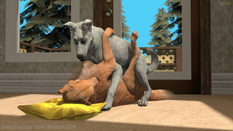 all_fours anatomically_correct anatomically_correct_genitalia anatomically_correct_vulva animal_genitalia animal_vulva anus bodily_fluids bodily_fluids_from_pussy canine_genitalia canine_vulva carpet close-up duo face_lick female female/female feral feral_on_feral feral_on_top from_front_position fur genital_fluids genitals heterochromia inside kissing licking looking_at_another looking_pleasured lying missionary_position on_back open_mouth pawpads paws pillow raised_paw rubbing_pussy sex sheath tail tail_motion tailwag tongue tongue_out tribadism vaginal vulva wolfland subscribestar bird_dog canid canine canis domestic_dog german_shepherd golden_retriever herding_dog hunting_dog mammal pastoral_dog retriever 16:9 2025 3d_(artwork) 3d_animation animated digital_media_(artwork) hi_res high_framerate huge_filesize long_playtime no_sound source_filmmaker_(artwork) webm widescreen