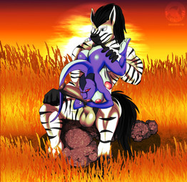 3_toes 69_position animal_genitalia animal_penis anthro areola balls big_penis black_hair black_hands blue_body blue_scales blue_skin body_worship breasts brown_penis butt duo equine_genitalia erection feet genital_worship genitals glans grass grey_eyes gynomorph gynomorph/male hair hand_on_butt hand_on_leg hand_on_penis intersex intersex/male licking male nipples non-mammal_breasts nude on_rock oral orange_grass orange_sky outdoor_nudity outside outside_sex penile penis penis_lick penis_worship pink_areola pink_glans pink_nipples pink_tongue plant red_eyes rock savanna scales scutes sex sitting sitting_69_position sitting_on_rock size_difference sky stripes sun sunset tail toes tongue tongue_out upside_down white_body justathereptile bluesy bluesy_(bluesy) june_(justathereptile) equid equine komodo_dragon lizard mammal monitor_lizard reptile scalie zebra 2018 digital_media_(artwork) hi_res watermark herm_(lore)