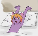 2024 adolescent anthro bed biped domestic_cat felid feline felis fur furniture hair heterochromia looking_at_viewer male mammal on_bed orange_hair pink_eyes purple_body purple_fur roze_(strayrozerem) slim_anthro slim_male solo strayrozerem yellow_eyes young young_anthro young_male