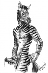 anthro balls bracelet erection genitals jewelry male nipple_piercing nipples nude penis piercing profile solo stripes tail werepuppy equid equine mammal zebra monochrome