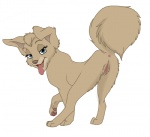 angel_(lady_and_the_tramp) canine disney dog female feral lady_and_the_tramp looking_at_viewer pussy solo tongue
Rating: Explicit
Score: 10
User: Thediamondwolf76
Date: August 05, 2012
