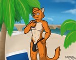 anthro athletic athletic_anthro athletic_male balls beach big_penis biped bulge circumcised clothing detailed_bulge drinking fur genital_outline genitals glans humanoid_genitalia humanoid_penis jockstrap jockstrap_bulge male male_anthro orange_body orange_fur pecs penis penis_outline smile solo underwear darkyapper oselotti_(character) domestic_cat felid feline felis mammal digital_media_(artwork) hi_res