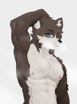 absurd_res blush bodily_fluids canid canine fan_character fur hi_res kasayoru looking_at_viewer male mammal multicolored_body multicolored_fur muscular muscular_male nipples nude simple_background smile solo sweat