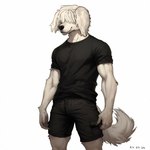 anthro black_clothing clothing fluffy fluffy_tail fur hair hair_over_eyes male muscular muscular_male smile snout solo tail white_body white_fur rinal beastars collot_(beastars) canid canine canis domestic_dog herding_dog mammal pastoral_dog sheepdog 1:1