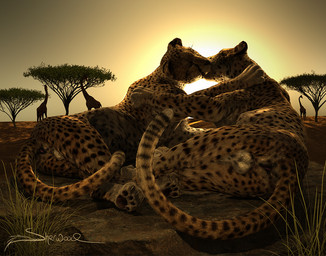 anus balls claws duo eyes_closed feral genitals holding_partner kissing lying male male/male on_side outside pawpads rear_view tail tail_anus sherwood cheetah felid feline mammal 3d_(artwork) digital_media_(artwork) signature