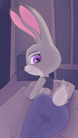 anthro bed black_clothing black_eyebrows black_shirt black_topwear blue_bottomwear blue_clothing blue_pants bottomwear butt camel_toe closed_smile clothed clothed_anthro clothed_female clothing crop_top eyebrows eyelashes female female_anthro fur furniture genital_outline glistening glistening_eyes grey_body grey_ears grey_fur grey_tail looking_back midriff mouth_closed on_bed pants pillow pink_inner_ear pink_nose pupils purple_eyes rear_view shirt sleeveless_shirt smile solo tail topwear vulva_outline dakuromii disney zootopia judy_hopps european_rabbit lagomorph leporid mammal oryctolagus rabbit 2026 9:16 absurd_res hi_res