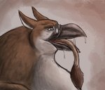 almost_fully_inside beak bodily_fluids close-up duo eyewear feral feral_pred glasses male male_pred oral_vore partially_inside saliva swallowing vore thatgryphonguy mythology vincent_(vincent) avian gryphon mythological_avian mythological_creature