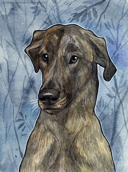 ambiguous_feral ambiguous_gender black_nose brown_eyes feral floppy_ears floral_background flower front_view fur mouth_closed plant solo tan_body tan_fur text whiskers heatherwolf canid canine canis domestic_dog mammal bust_portrait portrait url