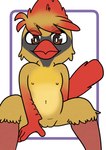 anthro beak brown_eyes feathers female fingers genitals hair looking_at_viewer multicolored_body nipples non-mammal_nipples pink_nipples pussy red_beak red_hair simple_background sitting solo tail tail_feathers tan_body white_background young cubcore avian bird hi_res