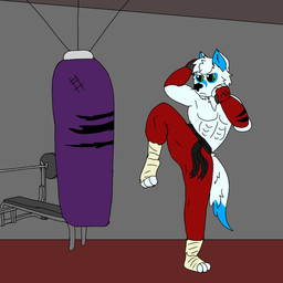 anthro belt bench_press black_belt blue_body blue_fur brutus_airsoft brutus_marcotte feet fighting_pose foot_wraps fur green_eyes male martial_arts mma_gloves muay_thai muscular muscular_male pose punching_bag solo wraps canid canine canis fox hybrid mammal wolf 1:1 hi_res