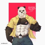 abs anthro belt bottomwear clothed clothing male muscular nipples open_clothing open_shirt open_topwear pants pecs pubes scar shirt simple_background smile solo topwear coffeline beastars gouhin_(beastars) bear giant_panda mammal 1:1 hi_res