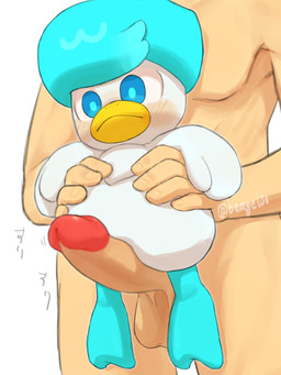 beak blue_eyes blush duo erection feathers feet feral flared_penis genitals head_tuft holding_character humanoid_genitalia humanoid_penis imminent_sex interspecies larger_human looking_down looking_down_at_genitalia looking_down_at_penis male membrane_(anatomy) onomatopoeia penis pokephilia simple_background sitting_on_penis size_difference smaller_feral sound_effects text toes tuft webbed_feet white_background white_body white_feathers young beageiso nintendo pokemon generation_9_pokemon human mammal pokemon_(species) quaxly 3:4 absurd_res artist_name digital_drawing_(artwork) digital_media_(artwork) hi_res japanese_text