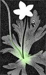 ambiguous_gender anthro bag biped black_body clothing flower green_glow grey_face hat headgear headwear micro plant solo standing stem walking young tsuchika bear mammal hi_res restricted_palette