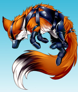 ambiguous_gender bdsm blue_background bondage bondage_gear bondage_gloves bound clothing feral fluffy fluffy_tail fur grey_eyes handwear harness muzzle_(object) muzzled orange_body orange_fur simple_background solo suspension tail white_body white_fur kiriyan canid canine fox mammal red_fox true_fox 2019 hi_res