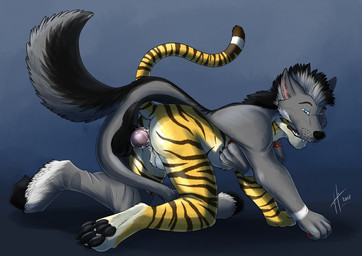 all_fours anal anal_penetration anthro anthro_penetrated balls black_balls black_body black_claws black_fur black_hair black_hooves black_nose black_pawpads black_tail blue_eyes claws duo finger_claws fur fusion genitals grey_body grey_fur grey_tail hair hooves male male/male male_penetrated male_penetrating male_penetrating_male markings mid_transformation mohawk multicolored_hair narrowed_eyes pawpads penetration penile penile_penetration penis_in_ass red_pawpads sex simple_background striped_arms striped_body striped_fur striped_legs striped_markings striped_tail stripes tail tail_markings toe_claws two_tone_hair white_hair yellow_body yellow_fur hufnaar ulbrek canid canine felid mammal pantherine tiger 2017 dated signature