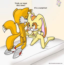 canine cream_the_rabbit fellatio female fox lagomorph male miles_prower nebula_stargarden oral oral_sex penis plain_background rabbit sega sex sonic_(series) straight white_background
Rating: Explicit
Score: 1
User: sugarland4ever
Date: January 21, 2011