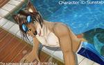 anthro clothed clothing dripping eyewear goggles heterochromia looking_at_viewer male nipples solo swimming_pool topless water mrsebbi sunstab canid canine canis coyote mammal