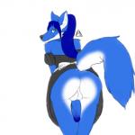 1:1 anthro backsack balls bent_over biped blue_body blue_fur blue_hair blue_penis butt canid canine canis clothing erection fox fur fuzzy_balls genitals girly green_eyes hair hi_res humanoid_genitalia humanoid_penis hybrid long_hair looking_at_viewer looking_back maid_uniform male mammal penis ponytail presenting presenting_hindquarters raised_tail rear_view simple_background smile solo strawberrycucumber tail uniform vein veiny_penis white_background wolf