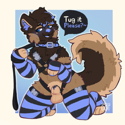 abstract_background animal_genitalia anthro arm_warmers armwear balls bdsm begging begging_pose blue_blush blue_collar blue_eyes blue_nose blue_penis blue_tongue blush border bound brown_body brown_fur chastity_cage chastity_device clothing collar collar_only curled_tail dialogue fluffy fluffy_tail footwear front_view fully_sheathed fur genitals hair harness heart_eyes heart_symbol in-sheath_cage kneeling leash leash_pull leashed_collar legwear legwear_only looking_at_viewer male mostly_nude nude open_mouth pattern_armwear pattern_clothing pattern_legwear penis penis_tip petplay pose roleplay sheath simple_background smile socks solo speech_bubble stockings stockings_only striped_armwear striped_clothing striped_legwear stripes submissive tail talking_to_viewer teeth text thigh_highs tongue tuft white_border artistic_dot marlow_wilde canid canine canis domestic_dog german_shepherd herding_dog mammal pastoral_dog digital_media_(artwork) english_text hi_res