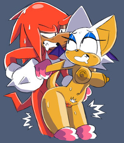 anthro arm_grab arm_pull bodily_fluids boots breasts butt clothing duo female footwear from_behind_position genitals gloves handwear male male/female nipples penis prison_guard_position sex shoes standing sweat vulva wide_hipped_female wide_hips wispowillo sega sonic_the_hedgehog_(series) knuckles_the_echidna rouge_the_bat bat echidna mammal monotreme