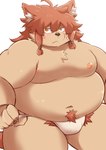 anthro asian_clothing belly big_belly blush clothing east_asian_clothing fundoshi japanese_clothing kemono male moobs navel nipples overweight overweight_male simple_background solo underwear white_background white_clothing white_fundoshi white_underwear dosanco15 canid canine mammal 2025 hi_res