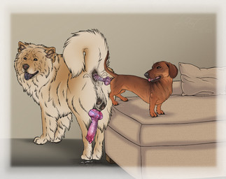 anal anal_penetration animal_genitalia animal_penis anus bodily_fluids canine_genitalia canine_penis cum cum_inside duo erection feral feral_on_feral feral_penetrated feral_penetrating feral_penetrating_feral genital_fluids genitals knot knotted_penis larger_penetrated male male/male male_penetrated male_penetrating male_penetrating_male penetration penis sex size_difference kodaac canid canine canis chow_chow dachshund domestic_dog hunting_dog mammal spitz hi_res