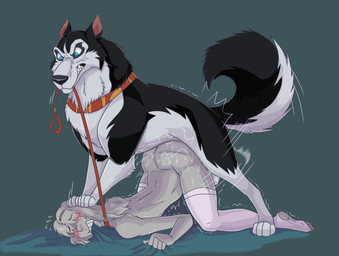 ambiguous_penetration anal anal_penetration ass_up balls bestiality blue_eyes butt collar dominant dominant_feral dominant_male duo faceless_character faceless_female female female_human female_on_feral feral feral_penetrating feral_penetrating_female feral_penetrating_human from_behind_position genitals human_on_feral human_penetrated interspecies leash leash_in_mouth leash_pull leashed_collar male male/female male_feral male_on_human male_penetrating object_in_mouth penetration quadruped sex submissive submissive_female teeth vaginal vaginal_penetration cajuzinho02 balto_(series) universal_studios steele_(balto) canid canine human mammal hi_res