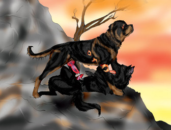 animal_genitalia animal_penis bodily_fluids canine_genitalia canine_penis cliff cum detailed_background duo erection feral feral_on_feral frottage game-rott genital_fluids genitals knot lying male male/male on_back orgasm outside penile penis penises_touching plant rock sex side_view sunset tail tree wood unknown_artist canid canine canis domestic_dog german_shepherd herding_dog mammal mastiff molosser pastoral_dog rottweiler