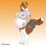 anthro athletic_wear big_breasts big_butt bodily_fluids breasts butt female fluffy fluffy_tail hyper hyper_pregnancy lactating overdue pregnant pregnant_female solo tail thick_thighs zoey_the_shiba canid canine canis domestic_dog mammal shiba_inu spitz 1:1 absurd_res hi_res