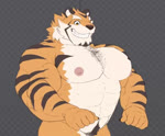 abs anthro blinking blush breathing grin male muscular muscular_anthro muscular_male nipples nude pecs pubes smile solo translucent ripped-saurian lifewonders live_a_hero ryekie_(live_a_hero) felid mammal pantherine tiger animated no_sound short_playtime webm