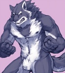 angry anthro biceps black_nose chest_tuft claws clenched_teeth countershading crotch_tuft featureless_crotch fist fur grey_body grey_fur male muscular muscular_anthro muscular_male nipples nude pecs pubes simple_background solo tail teeth tuft white_body white_fur boulevard orion_(aluminemsiren) canid canine canis mammal wolf