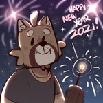 anthro clothed clothing dot_eyes fireworks holidays looking_at_viewer male night shirt sky smile solo standing star starry_sky text topwear scraffyraccoon new_year mammal procyonid raccoon 1:1 2020 english_text hi_res