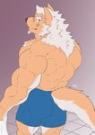 anthro back_muscles biped bottomwear butt cheek_tuft clothed clothing eyebrows facial_scar facial_tuft floor fluffy fluffy_tail fur holding_object holding_towel looking_at_viewer looking_back looking_back_at_viewer male mane multicolored_body multicolored_fur muscular muscular_anthro muscular_male pecs rear_view red_eyes scar shorts shower_room snout snout_scar solo spandex spandex_shorts tail tan_body tan_fur tight_bottomwear tight_clothing tight_shorts tile tile_floor topless topless_anthro topless_male towel tuft two_tone_body two_tone_fur white_body white_eyebrows white_fur zenon_s2017 lifewonders tokyo_afterschool_summoners marchosias_(tas) canid canine canis mammal wolf 2021 alternate_version_at_source hi_res signature