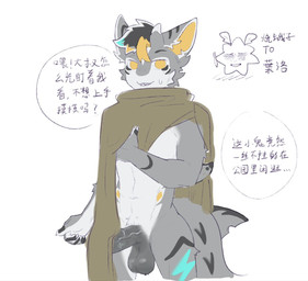 anthro balls cloak cloak_only clothing fur genitals horn humanoid_genitalia humanoid_penis male penis simple_background solo text vein white_background qiu_se93802 aquatic fish furred_shark shark chinese_text