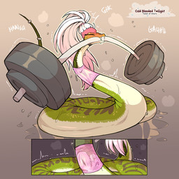 animal_genitalia blush bodily_fluids camel_toe cloaca cloaca_outline clothed clothed_feral clothing exercise female female_feral feral genitals muscular muscular_female solo sweat tight_clothing weightlifting workout cold-blooded-twilight dreamworks kung_fu_panda master_viper reptile scalie snake viper 1:1 2025 hi_res