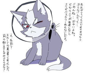 :< chibi cone_of_shame eyebrows feral feralized fur grey_body grey_fur kemono male medical_instrument open_mouth red_eyes ruff_(clothing) scientific_instrument text white_body white_fur sing_coffee nintendo star_fox wolf_o'donnell canid canine canis domestic_dog mammal hi_res japanese_text translated