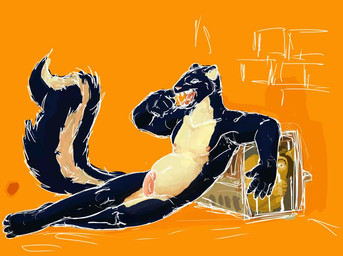 anthro balls belly black_body black_fur bodily_fluids brown_hair cage duo fur genitals hair male male/male nipples nude nude_anthro nude_male open_mouth orange_background orange_body orange_fur penis saliva simple_background sitting skunk_tail teeth tongue trapped wide_eyed jeri_kleinlowe domestic_cat felid feline felis mammal mephitid skunk 2009 colored
