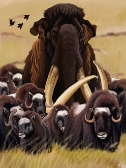 brown_body brown_fur feral fur grass group herd horn long_fur plant proboscis_(anatomy) quadruped realistic trunk_(anatomy) tusks agustindiazart ambient_bird bison bovid bovine elephantid european_bison mammal mammoth prehistoric_species proboscidean woolly_mammoth 2022 3:4 detailed hi_res