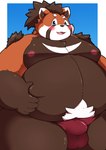 anthro balls_outline belly big_belly blush brown_body bulge detailed_bulge genital_outline kemono male moobs nipples orange_body overweight overweight_male penis_outline simple_background solo kusosensei tamacolle suruga_(tamacolle) ailurid mammal red_panda 2025 hi_res