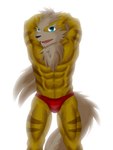 abs adolescent anthro blue_eyes bulge chest_tuft clothed clothing flexing fur hands_behind_head male muscular muscular_male nipples pose red_clothing red_speedo red_swimwear simple_background solo speedo speedo_only striped_body striped_fur stripes swimwear tan_fur_tuft topless tuft white_background yellow_body yellow_fur young akino-kamihara haru_no_pantsu_matsuri nintendo pokemon kagerou_higari_(akino-kamihara) arcanine generation_1_pokemon pokemon_(species) shiny_pokemon 2013 3:4 absurd_res hi_res