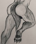 anthro butt male muscular muscular_anthro nude nude_anthro paws raised_hips solo tail alex_dellamortex canid canine canis gulonine mammal mustelid musteline wolf wolverine hi_res