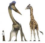 ambiguous_gender beak extreme_size_difference feral group horn long_neck male membrane_(anatomy) membranous_wings ossicone quadruped size_difference wings mark_witton azhdarchid giraffe giraffid human mammal prehistoric_species pterosaur quetzalcoatlus reptile scalie low_res