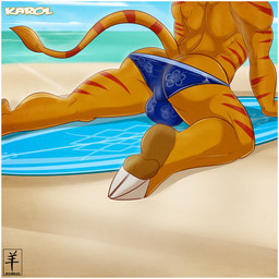 2013 aaron_(artist) beach body_markings bulge butt fur karol_(character) lombax male markings muscles orange_fur outside pose ratchet_and_clank red_stripes seaside solo speedo surfboard swimsuit teasing topless underwear
Rating: Questionable
Score: 5
User: Karol_the_Lombax
Date: October 05, 2013