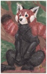 ambiguous_gender anthro border feral outside plant solo tail tree white_border wood farorenightclaw ailurid mammal red_panda 2012